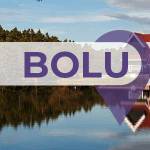 Bolu'lu İş Kadınları İş Geliştirme Grubu Profile Picture