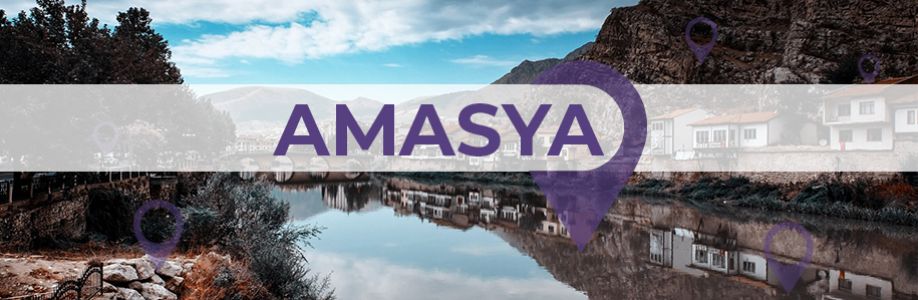 Amasya'lı İş Kadınları İş Geliştirme Grubu Cover Image