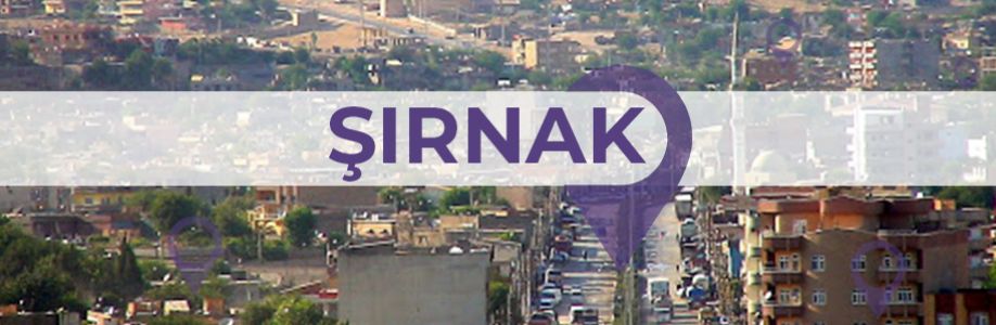 Şırnak'lı İş Kadınları İş Geliştirme Grubu Cover Image