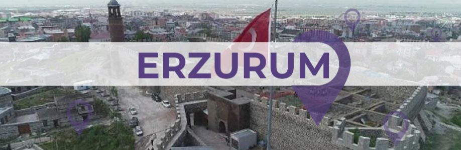 Erzurum'lu İş Kadınları İş Geliştirme Grubu Cover Image