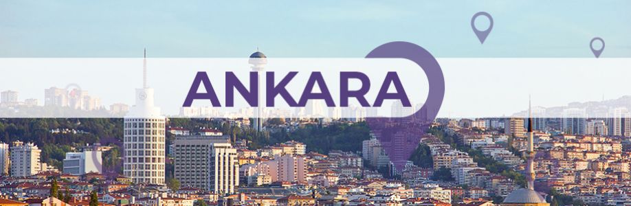 Ankara'lı İş Kadınları İş Geliştirme Grubu Cover Image