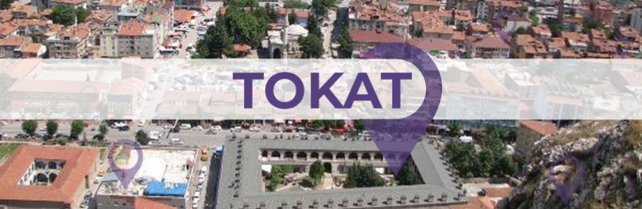 Tokat'lı İş Kadınları İş Geliştirme Grubu Cover Image