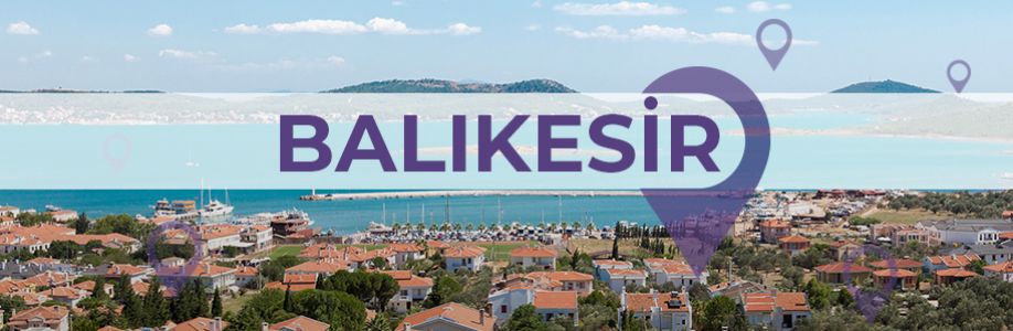 Balıkesir'li İş Kadınları İş Geliştirme Grubu Cover Image