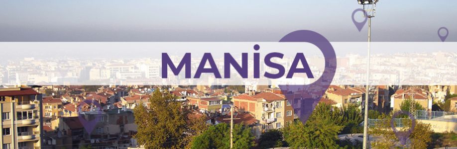 Manisa'lı İş Kadınları İş Geliştirme Grubu Cover Image
