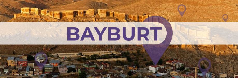 Bayburt'lu İş Kadınları İş Geliştirme Grubu Cover Image