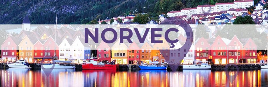 Norveç 'de Bulunan İş Kadınları İş Geliştirme Grubu Cover Image