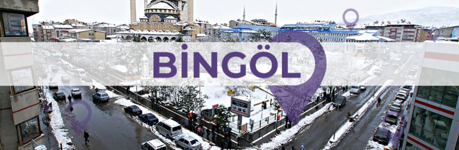 Bingöl'lü İş Kadınları İş Geliştirme Grubu Cover Image