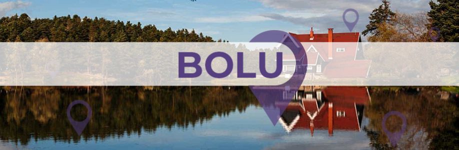Bolu'lu İş Kadınları İş Geliştirme Grubu Cover Image
