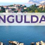 Zonguldak'lı İş Kadınları İş Geliştirme Grubu Profile Picture