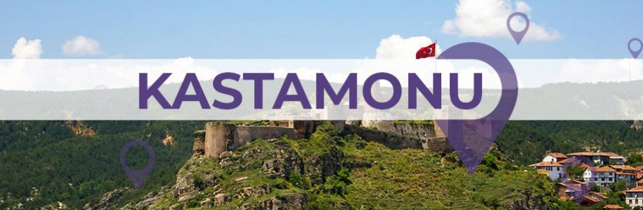 Kastamonu'lu İş Kadınları İş Geliştirme Grubu Cover Image