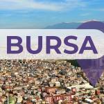 Bursa'lı İş Kadınları İş Geliştirme Grubu Profile Picture