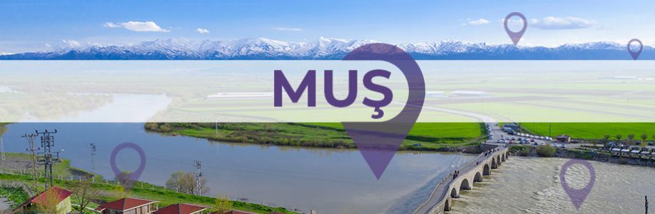 Muş'lu İş Kadınları İş Geliştirme Grubu Cover Image