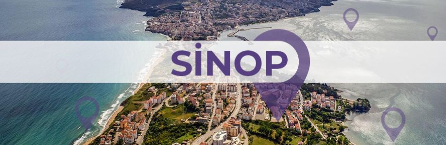 Sinop'lu İş Kadınları İş Geliştirme Grubu Cover Image