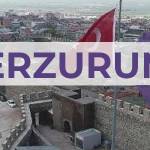 Erzurum'lu İş Kadınları İş Geliştirme Grubu Profile Picture