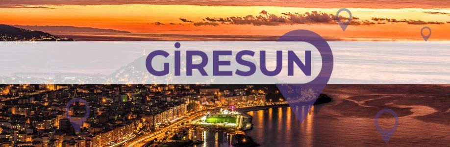Giresun'lu İş Kadınları İş Geliştirme Grubu Cover Image