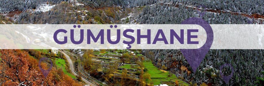 Gümüşhane'li İş Kadınları İş Geliştirme Grubu Cover Image