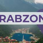 Trabzon'lu İş Kadınları İş Geliştirme Grubu Profile Picture