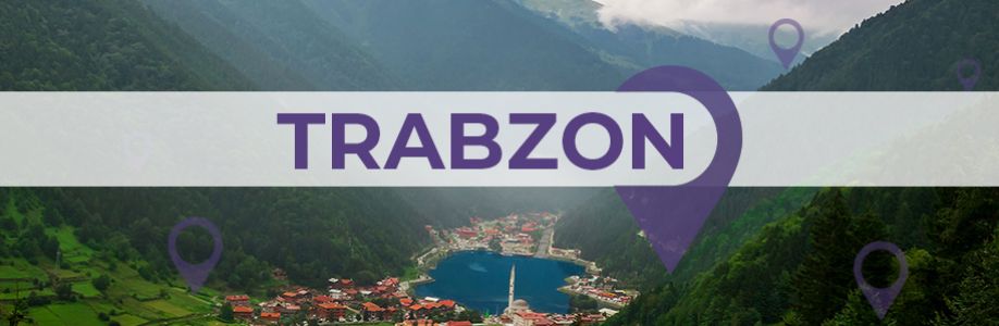 Trabzon'lu İş Kadınları İş Geliştirme Grubu Cover Image